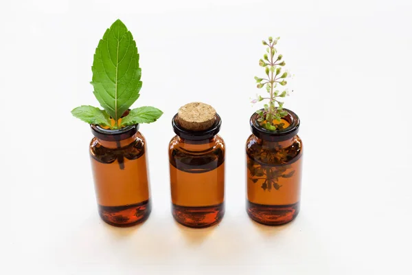 Aceite esencial de albahaca con hojas y flores . — Foto de Stock