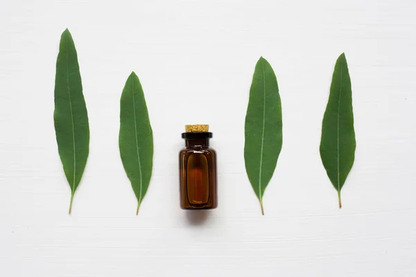 Eukaliptus Butelka oleju na białym — Zdjęcie stockowe