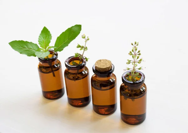 Santo aceite esencial de albahaca con hojas . — Foto de Stock