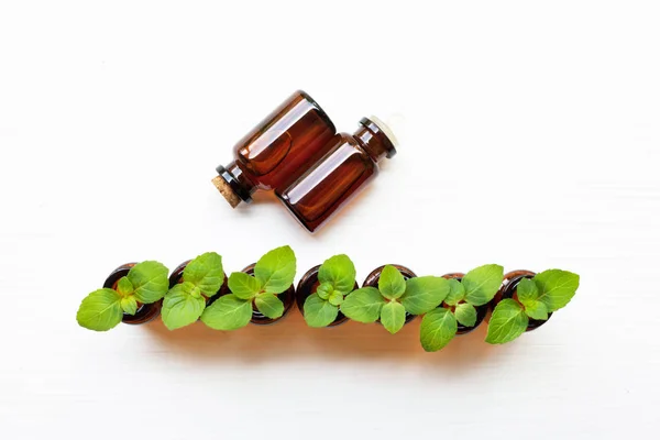 Mint  Essential Oil in a Glass Bottle with leaves. — Stock Photo, Image