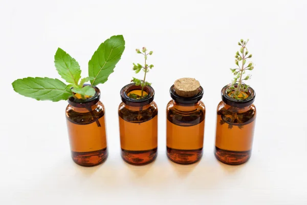 Holy basil essential oil with leaves and flower. — Stock Photo, Image