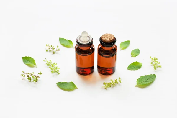 Holy basil essential oil with leaves. — Stock Photo, Image