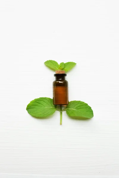 Minze ätherisches Öl in einer Glasflasche mit Blättern. — Stockfoto