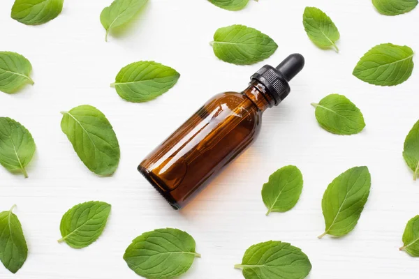 Aceite esencial de menta en una botella de vidrio con hojas . — Foto de Stock