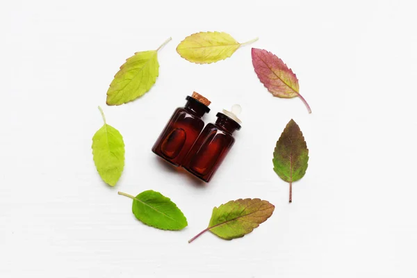 Holy basil essential oil with  colorful leaves. — Stock Photo, Image