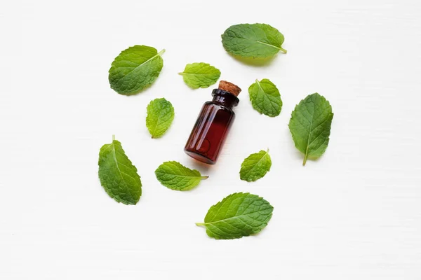 Aceite de Essentail con hojas de menta fresca . — Foto de Stock