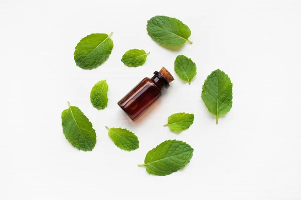 Aceite de Essentail con hojas de menta fresca . — Foto de Stock