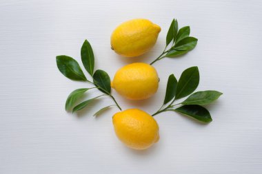Üç sarı limon yaprak beyaz.