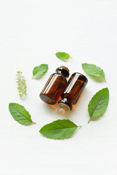 Santo aceite esencial de albahaca con hojas . — Foto de Stock