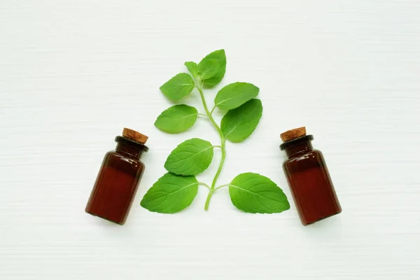 Mint  Essential Oil in a Glass Bottle with leaves. — Stock Photo, Image