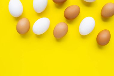 yumurta Sarı zemin üzerine. 