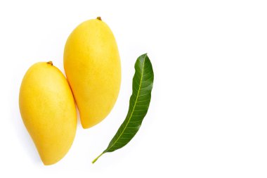 Mango manzaralı, tropikal meyve sulu ve tatlı.