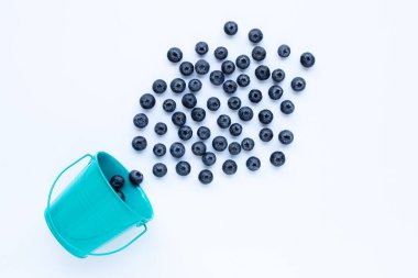 Beyaz kovalı yaban mersini.