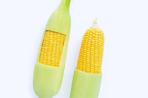 Corn on a white background. — Stock Photo, Image