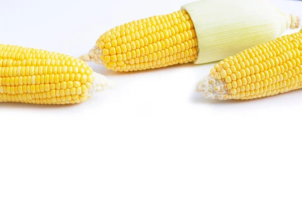 Кукурудза на білому тлі . — стокове фото