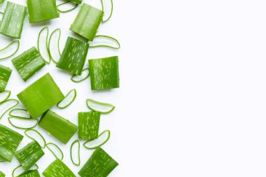 İlaç fabrikası, beyaz arka planda Aloe vera.