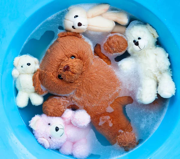 Oyuncak ayıların çamaşır deterjanıyla yıkanması daha önce de olmuştu. — Stok fotoğraf