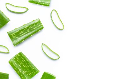 Aloe Vera sağlık ve güzellik için popüler bir ilaç bitkisidir, beyaz arka plan. Boşluğu kopyala
