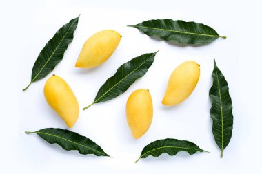 Sarı mango manzaralı, tropik meyve sulu ve tatlı.