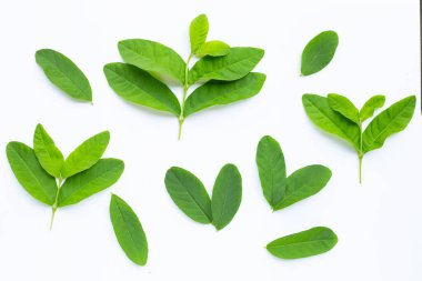 Guava beyaz arka planda bırakır. Üst görünüm