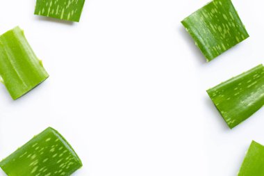 Aloe Vera beyaz arka planda, sağlık ve güzellik için popüler bir ilaç bitkisidir..