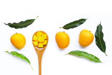 Tropik meyve, beyaz arka planda mango. Üst görünüm