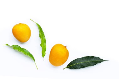 Tropik meyve, beyaz arka planda mango. Üst görünüm