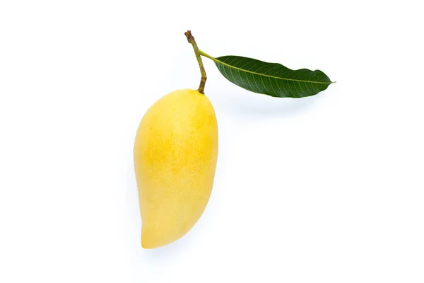 Draufsicht Auf Gelbe Mango Tropische Früchte Saftig Und Süß — Stockfoto