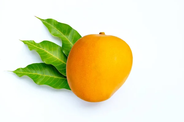 Τροπικά Φρούτα Μάνγκο Λευκό Φόντο Άνω Όψη — Φωτογραφία Αρχείου
