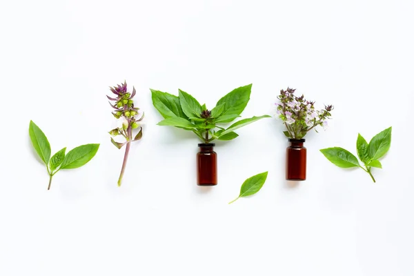 Vidrio Botella Aceite Esencial Con Hojas Albahaca Dulce Flor Sobre — Foto de Stock