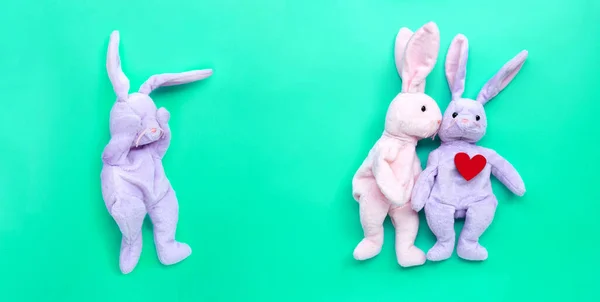 Broken Heart Rabbit Toy Rabbit Couple Love Green Background Copy — Stock Photo, Image