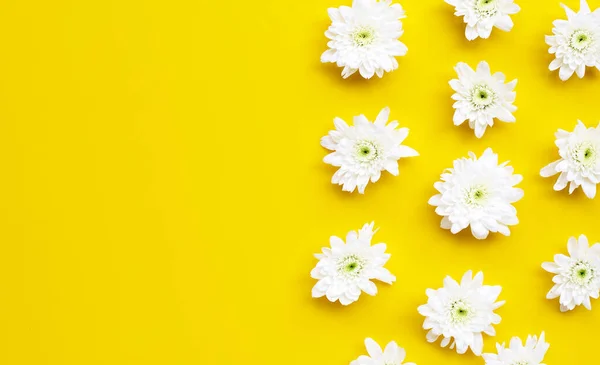 Crisantemo Blanco Sobre Fondo Amarillo Copiar Espacio —  Fotos de Stock