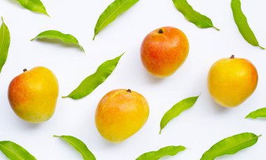 Mango, beyaz arka planda yaprakları olan tropikal meyve. Üst görünüm