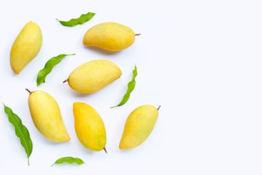 Tropik meyve, beyaz arka planda mango. Üst görünüm