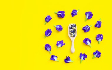 Sarı arka planda taze çiçekli kuru kelebek bezelyesi. Boşluğu kopyala