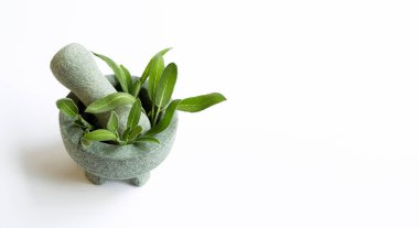 Beyaz arka planda bilge yaprakları ve taş havan topuzları. Boşluğu kopyala