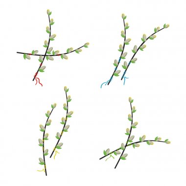 Çiçek açan söğüt dalları - vektör çizim ayarla