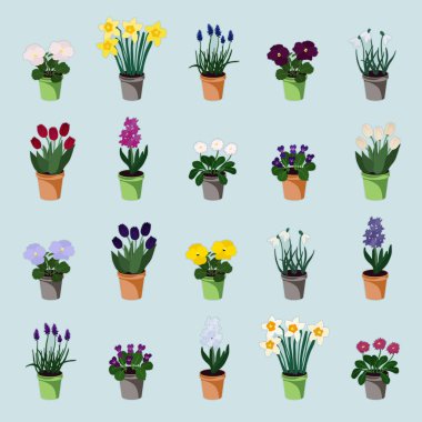 Set of spring flowers in flowerpots -  vector illustration clipart
