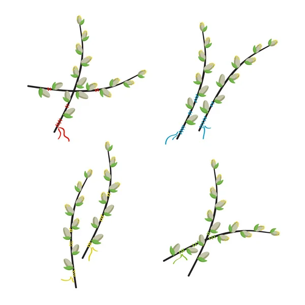 Çiçek Açan Söğüt Dalları Vektör Çizim Ayarla — Stok Vektör
