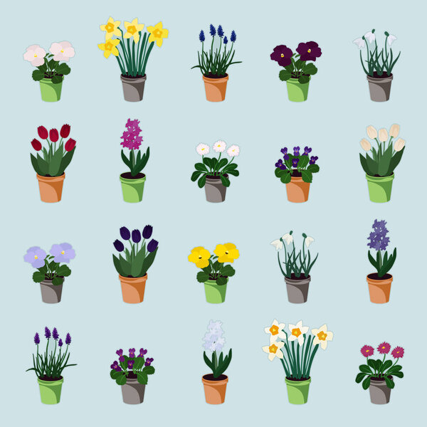 Set of spring flowers in flowerpots -  vector illustration
