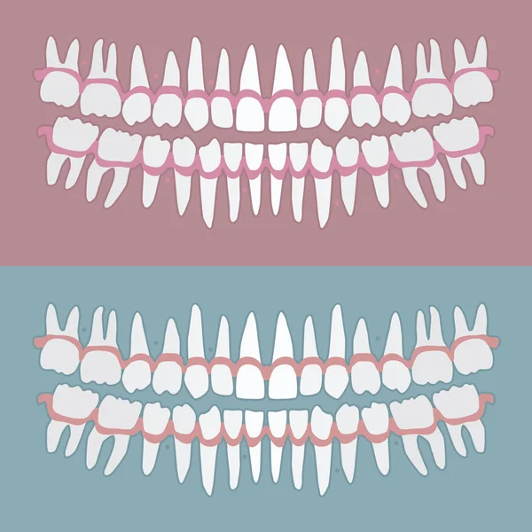 Conjunto Dientes Humanos Adultos Ilustración Vectorial — Archivo Imágenes Vectoriales