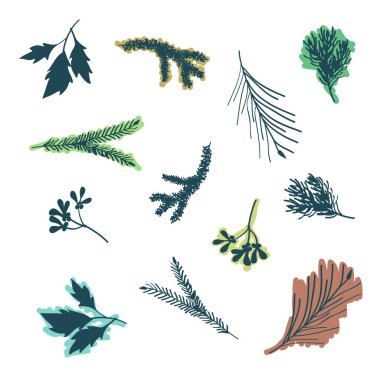 Elle çizilmiş ağaç dalları - vektör çizim seti