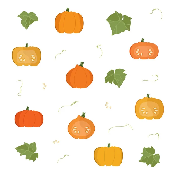 Set Various Shapes Pumpkin Vector Illustration — Stock Vector