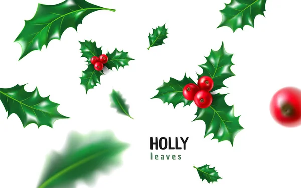 Настоящая падуба, айлекс с ягодами и листьями, набор омелы. Рождество, новогодний праздничный символ, украшения. 3D реалистичная векторная иллюстрация на белом фоне — стоковый вектор