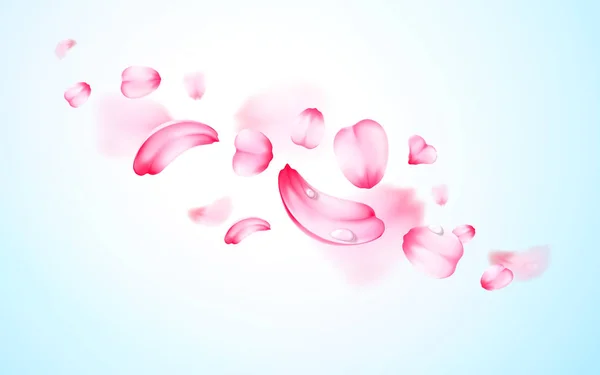 Pink sakura fresh falling petals with drops of water, dew with blur effect. Vector background. 3D realistic detailed romantic illustration — Stock Vector