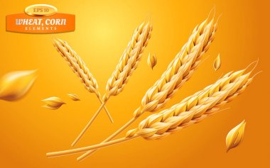 Detaylı buğday kulaklar, yulaf veya arpa sarı bir arka plan üzerinde izole. Doğal madde öğesi. Sağlıklı gıda veya tarım, ekmek veya kırpma Tema. Vektör gerçekçi 3d çizim