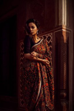  taj mahal, AGRA sari güzel Hintli kadın