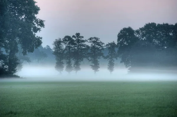 Fog in the morning — Stock Photo, Image