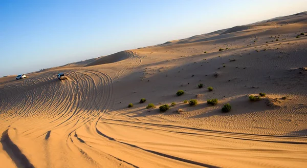 Safari durch die Wüste — Stockfoto