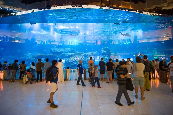 Aquarium in Einkaufszentrum — Stockfoto